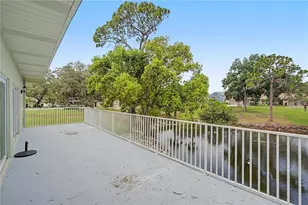 1206 Palm Dr, Tarpon Springs, FL 34689 - Photo 54