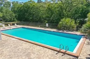 7195 E Bank Dr, Tampa, FL 33617 - Photo 36