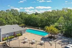 7195 E Bank Dr, Tampa, FL 33617 - Photo 34