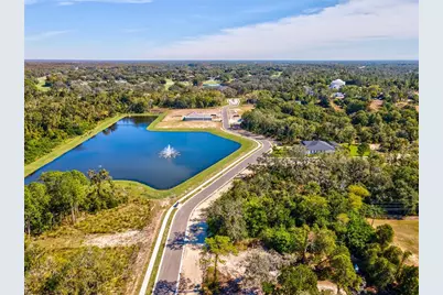 682 Bottlebrush Way, Tarpon Springs, FL 34688 - Photo 6