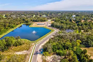 682 bottle brush way, Tarpon Springs, FL 34688 - Photo 6