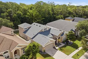6846 Pine Springs, Wesley Chapel, FL 33545 - Photo 56