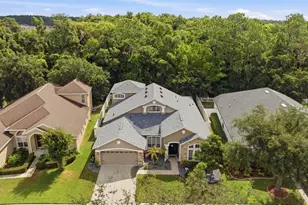 6846 Pine Springs, Wesley Chapel, FL 33545 - Photo 50