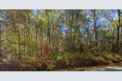 Iamonia Landing Road, Tallahassee, FL 32312 - Photo 1