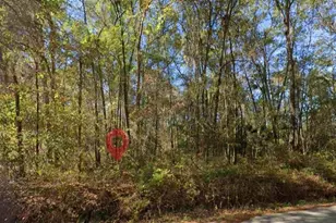 Iamonia Landing Rd, Tallahassee, FL 32312 - Photo 1