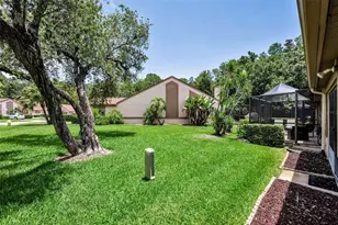 3477 Hillmoor Dr, Palm Harbor, FL 34685 - Photo 30