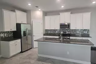 10072 Corso Milano Dr, Tampa, FL 33625 - Photo 12