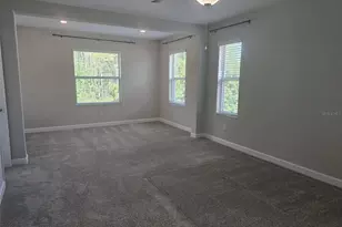 10072 Corso Milano Dr, Tampa, FL 33625 - Photo 46