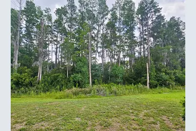 3220 Clover Blossom Circle, Land O Lakes, FL 34638 - Photo 24