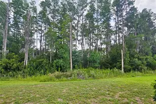 3220 Clover Blossom Cir, Land O Lakes, FL 34638 - Photo 24
