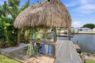 101 92nd Ave N, Saint Petersburg, FL 33702 - Photo 38