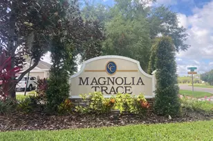 10542 San Travaso Dr, Tampa, FL 33647 - Photo 2