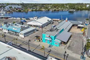 731 Brittany Park Blvd, Tarpon Springs, FL 34689 - Photo 50