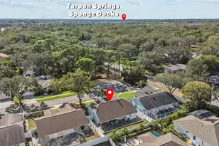 731 Brittany Park Blvd, Tarpon Springs, FL 34689 - Photo 40