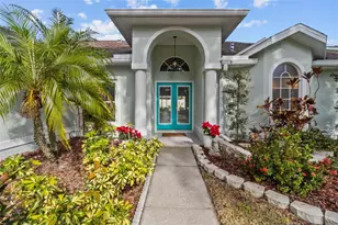731 Brittany Park Blvd, Tarpon Springs, FL 34689 - Photo 2