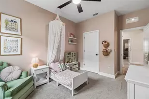 2419 Portico St, Odessa, FL 33556 - Photo 30