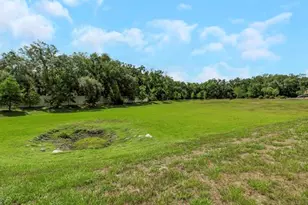 14203 Damselfly Dr, Tampa, FL 33625 - Photo 64