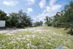 141 Flatfish Ct, Kissimmee, FL 34759 - Photo 32