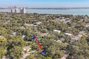 3120 W Coachman Ave, Tampa, FL 33611 - Photo 8