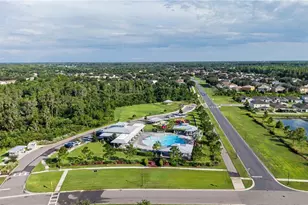 10331 Heron Hideaway Loop, Land O Lakes, FL 34638 - Photo 38