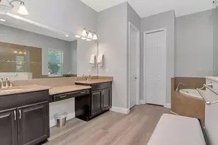 19419 Autumn Chase Ct, Land O Lakes, FL 34638 - Photo 8