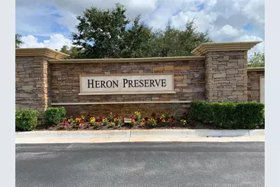 19335 Paddock View Drive, Tampa, FL 33647 - Photo 32