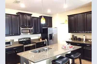 19335 Paddock View Drive, Tampa, FL 33647 - Photo 6