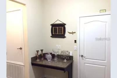 19335 Paddock View Drive, Tampa, FL 33647 - Photo 8