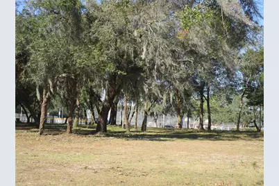 6718 N Rome Avenue, Tampa, FL 33604 - Photo 1