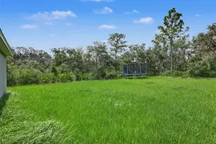 305 Bowfin Dr, Kissimmee, FL 34759 - Photo 16
