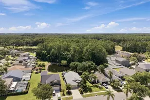 13108 Royal George Ave, Odessa, FL 33556 - Photo 50