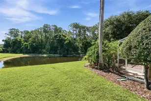 13108 Royal George Ave, Odessa, FL 33556 - Photo 48