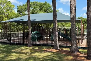 13108 Royal George Ave, Odessa, FL 33556 - Photo 60