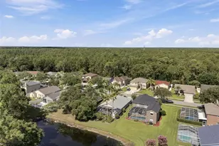 13108 Royal George Ave, Odessa, FL 33556 - Photo 6