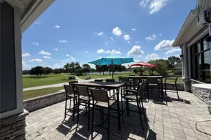 13108 Royal George Ave, Odessa, FL 33556 - Photo 58