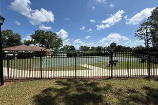 13108 Royal George Ave, Odessa, FL 33556 - Photo 62