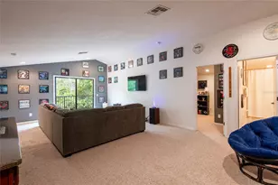 14815 Ninebark Ct, Land O Lakes, FL 34638 - Photo 56