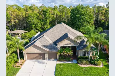 14815 Ninebark Court, Land O Lakes, FL 34638 - Photo 8