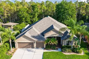 14815 Ninebark Ct, Land O Lakes, FL 34638 - Photo 8