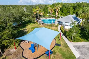 14815 Ninebark Ct, Land O Lakes, FL 34638 - Photo 60