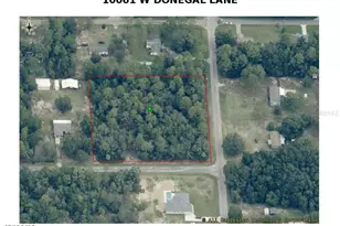 10061 W Donegal Ln, Crystal River, FL 34428 - Photo 1