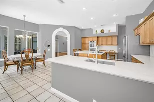 4084 Ligustrum Dr, Palm Harbor, FL 34685 - Photo 56