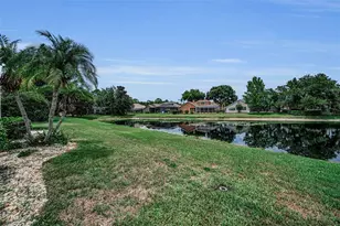 4084 Ligustrum Dr, Palm Harbor, FL 34685 - Photo 40