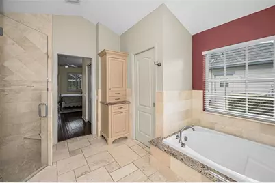 4084 Ligustrum Drive, Palm Harbor, FL 34685 - Photo 18