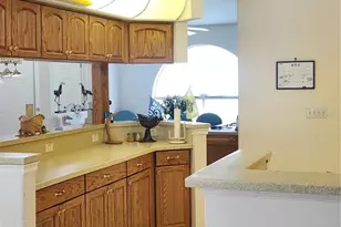 10365 Palmwood Pl, Weeki Wachee, FL 34613 - Photo 12