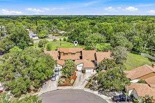 2009 Philippe Ct, Safety Harbor, FL 34695 - Photo 32