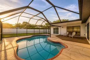 60 Durham Ct, Palm Harbor, FL 34683 - Photo 4