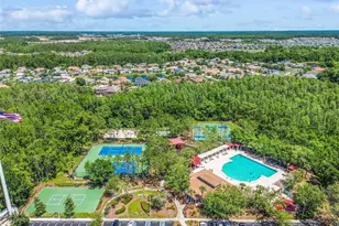 4017 Langdrum Dr, Wesley Chapel, FL 33543 - Photo 34