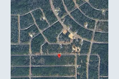 608 E Bimini Drive, Dunnellon, FL 34434 - Photo 2