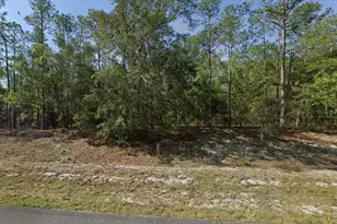 608 E Bimini Dr, Dunnellon, FL 34434 - Photo 1